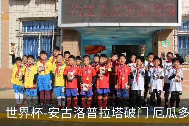 世界杯-安古洛普拉塔破门 厄瓜多尔2-1逆转德国出线